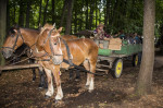 IMG_1241